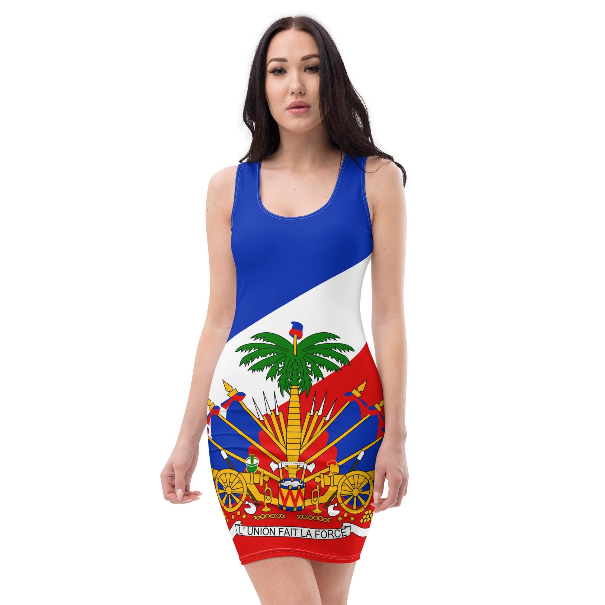 23 - Coat Of Arms of Haiti Sublimation Cut & Sew Dress - Haitianbuy