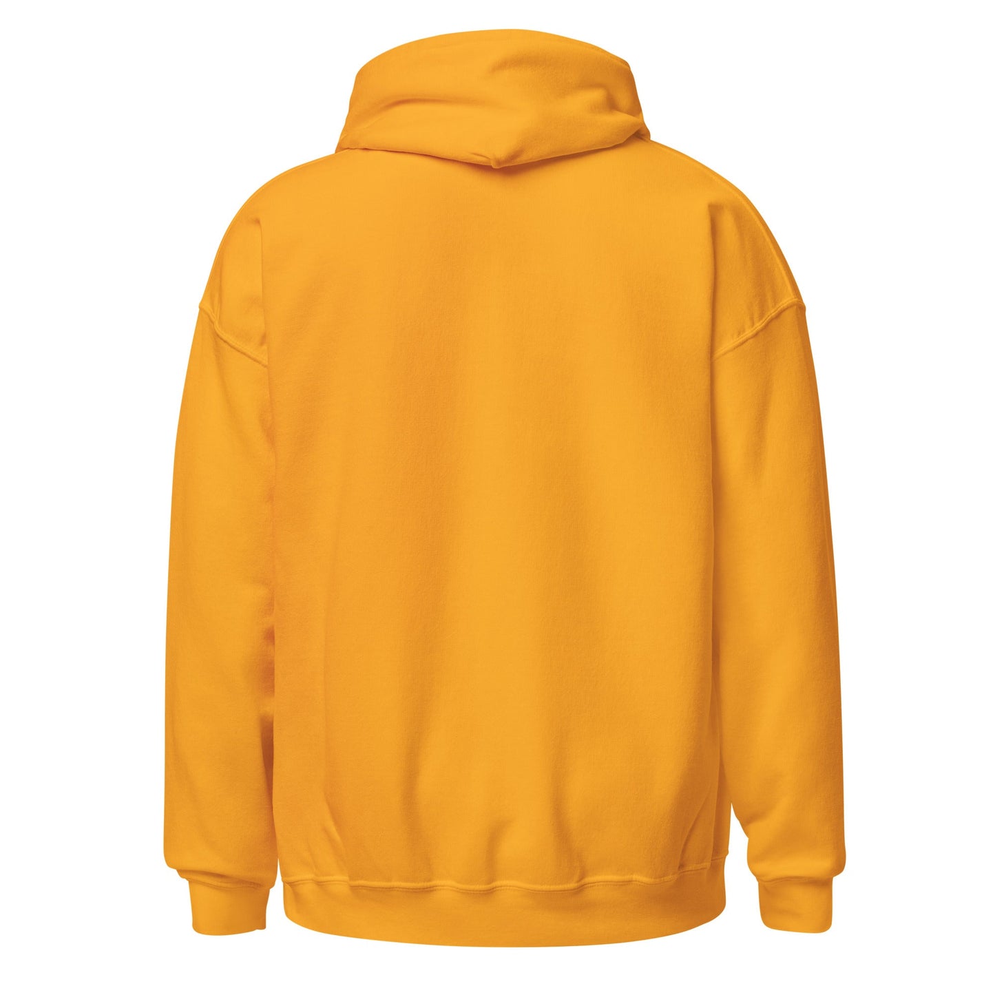 HAITI MAP Unisex Hoodie - Haitianbuy