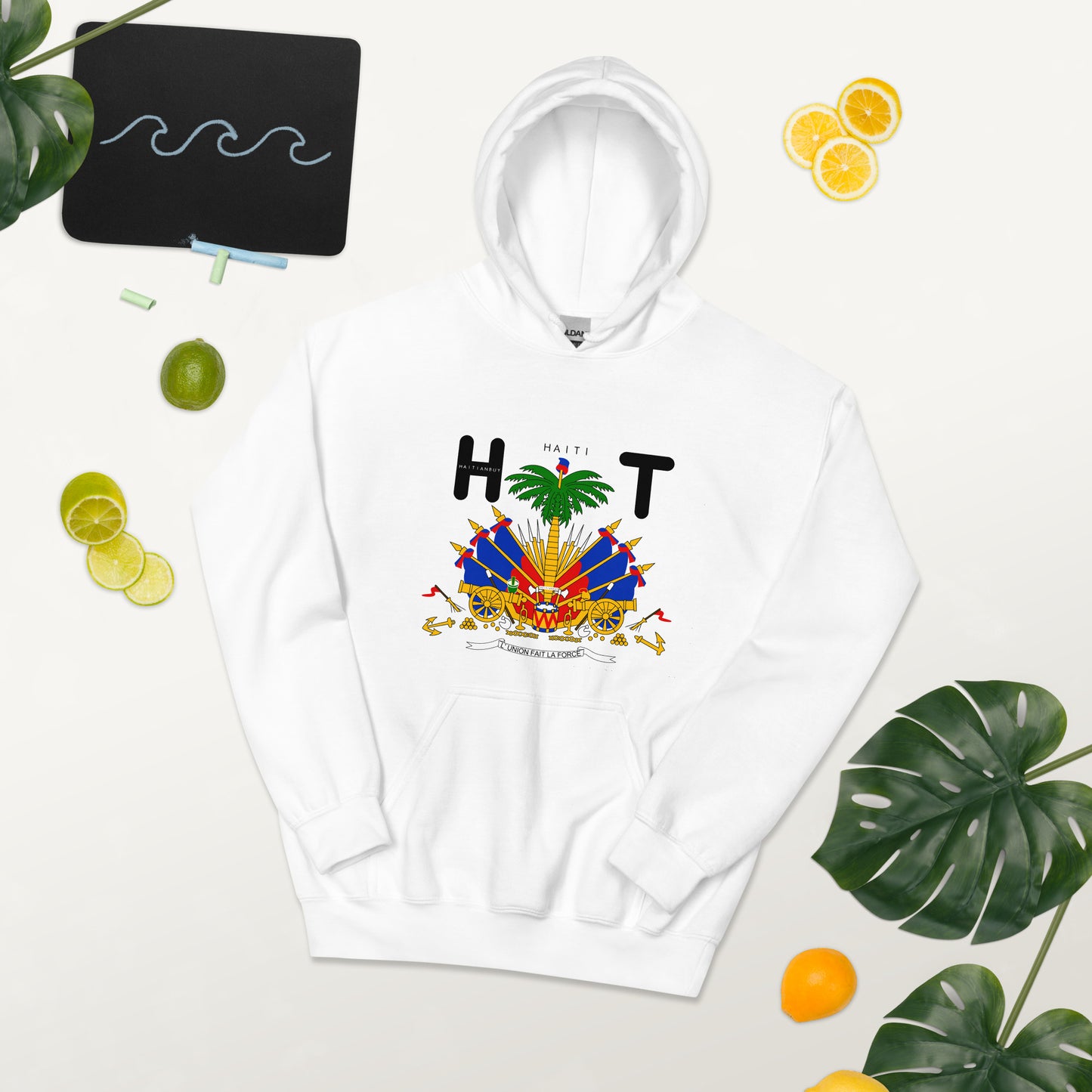 02-Haiti COAT OF AMRS Unisex Hoodie