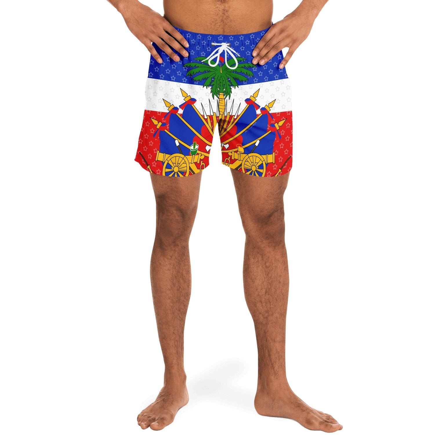 27-COAT OF ARM OF HAITI Star Swim Trunks Men - Haitianbuy