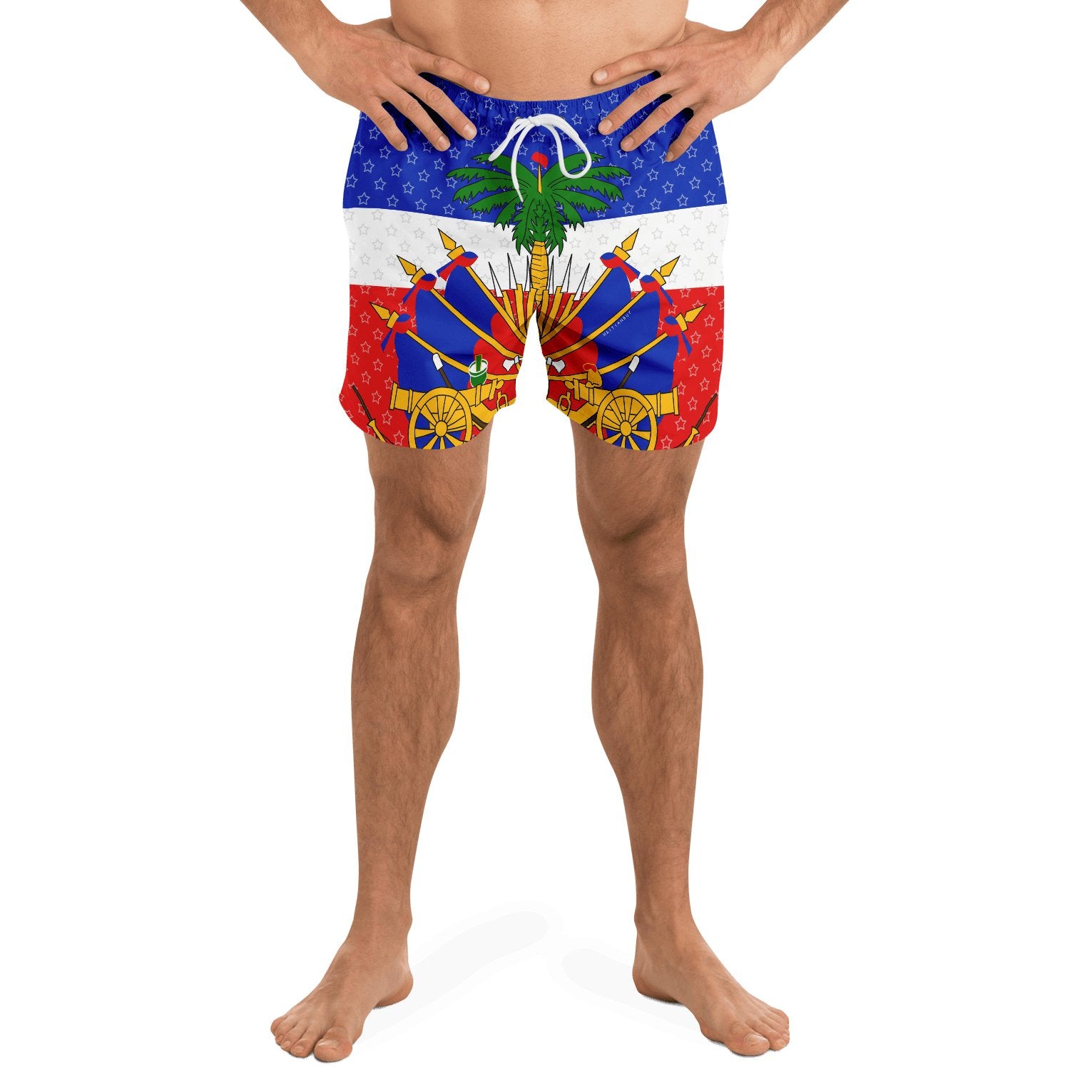 27-COAT OF ARM OF HAITI Star Swim Trunks Men - Haitianbuy