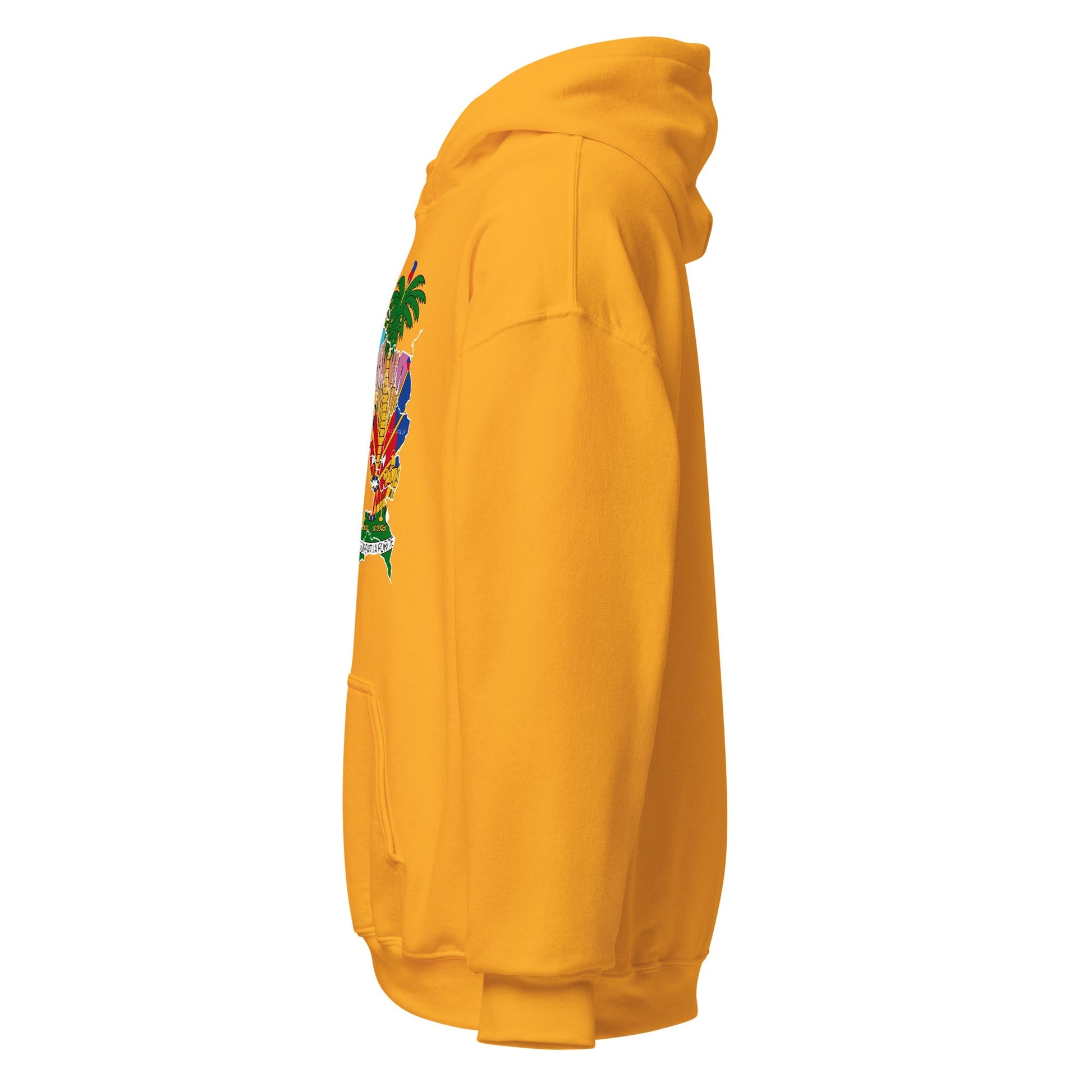 HAITI MAP Unisex Hoodie - Haitianbuy