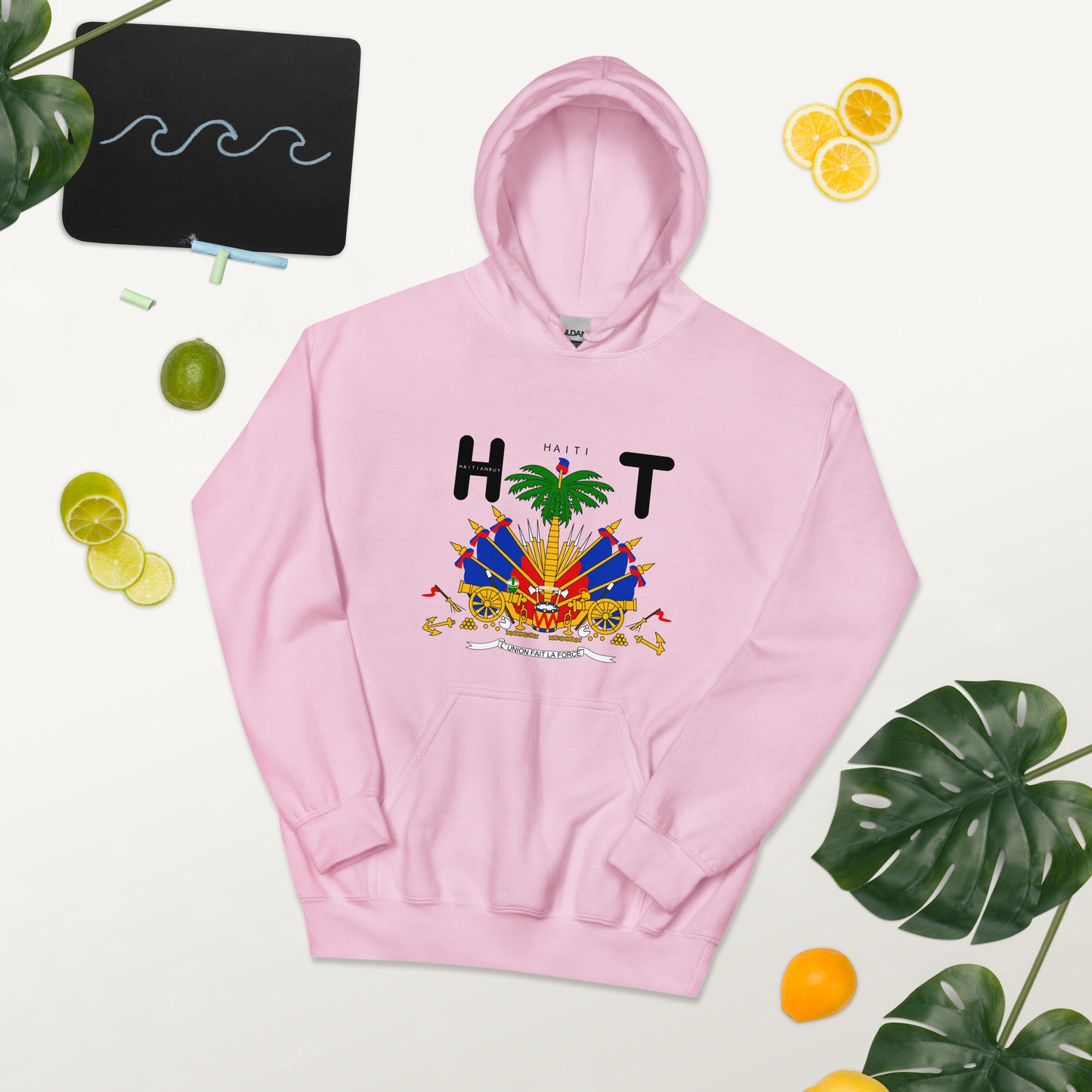 02-Haiti COAT OF AMRS Unisex Hoodie